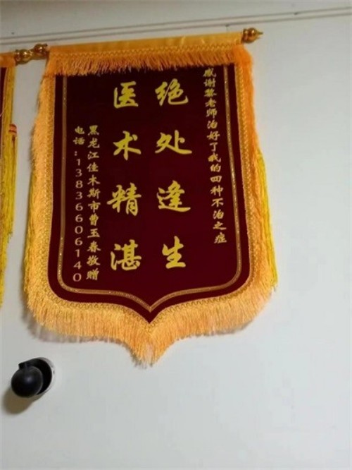 党旗下的大国医者——黎化雨