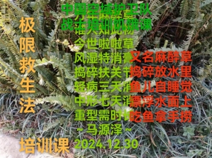 世界中医 药联合会 传统医学博士——马忠义 院长