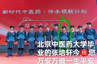 当代著名国医圣手张培轩