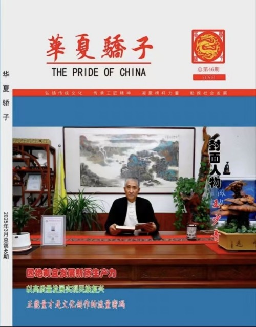 道医传薪 健康筑梦——王少青的非遗传承与产业担当