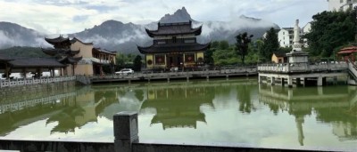 易道通玄：陈三玄的国学传承与世界视野