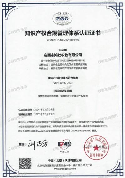 鸿壮农牧创始人李杰，扎根乡土，以“羊”为笔绘振兴