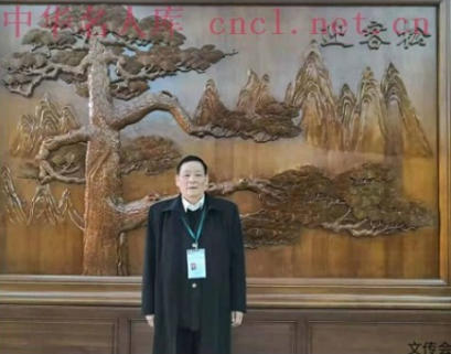 喜迎2026元旦 人物贺岁 特别报道 易学风水名家——金大琳