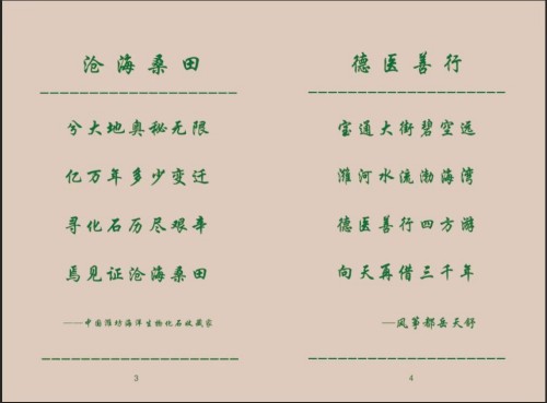 2026全国两会报道 中国潍坊海洋生物化石收藏家——岳天舒