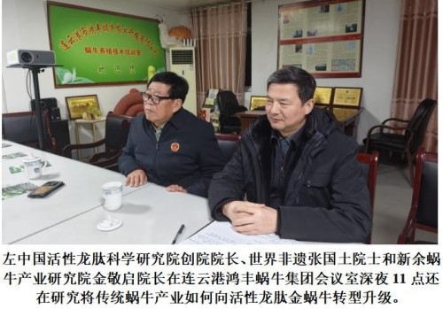 科创为民·健康中国｜黄河千年清一回·桑黄龙肽，守护生命稳态的东方力量 献礼2026两会专题报道