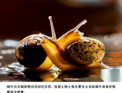 科创为民·健康 中国｜黄河千年清一回中国活性龙肽金蜗牛