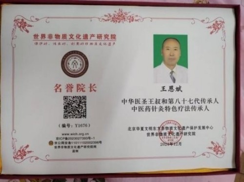 落实两会精神 岐黄赋能健康 中华医圣王叔和第八十七代传承王恩斌