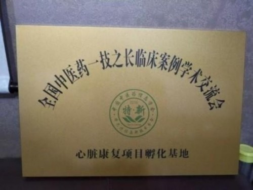 落实两会精神 岐黄赋能健康 中华医圣王叔和第八十七代传承王恩斌