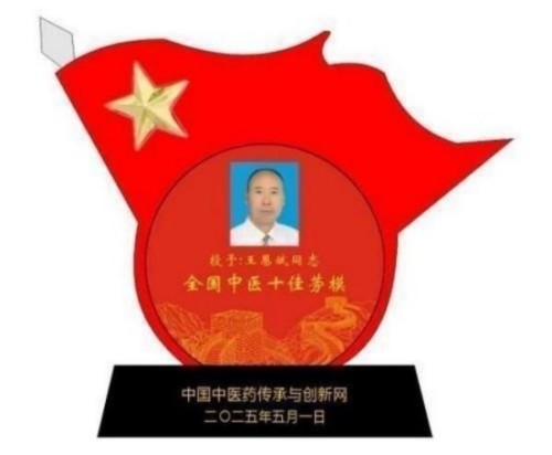 落实两会精神 岐黄赋能健康 中华医圣王叔和第八十七代传承王恩斌