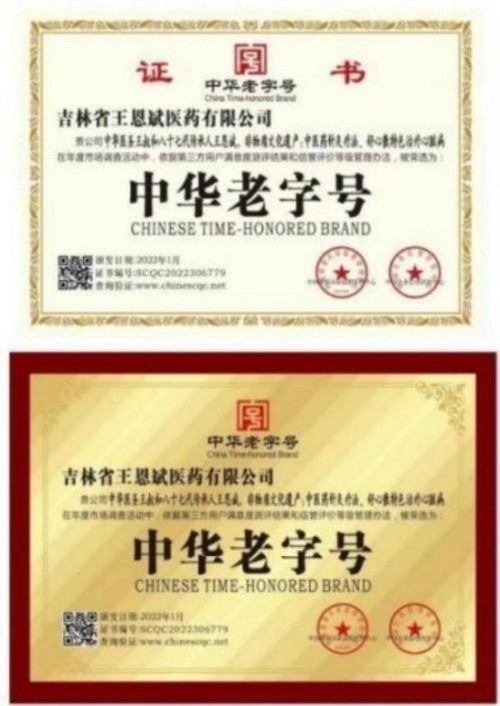 落实两会精神 岐黄赋能健康 中华医圣王叔和第八十七代传承王恩斌