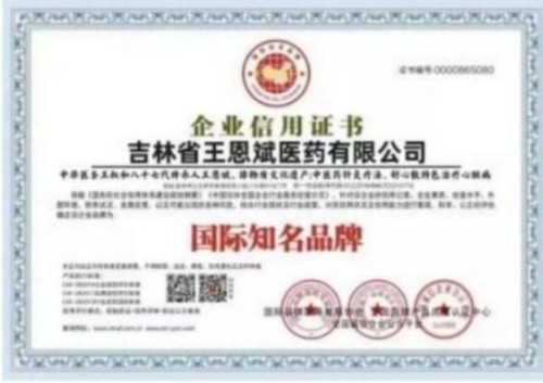 落实两会精神 岐黄赋能健康 中华医圣王叔和第八十七代传承王恩斌