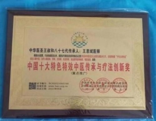 落实两会精神 岐黄赋能健康 中华医圣王叔和第八十七代传承王恩斌