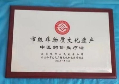 落实两会精神 岐黄赋能健康 中华医圣王叔和第八十七代传承王恩斌