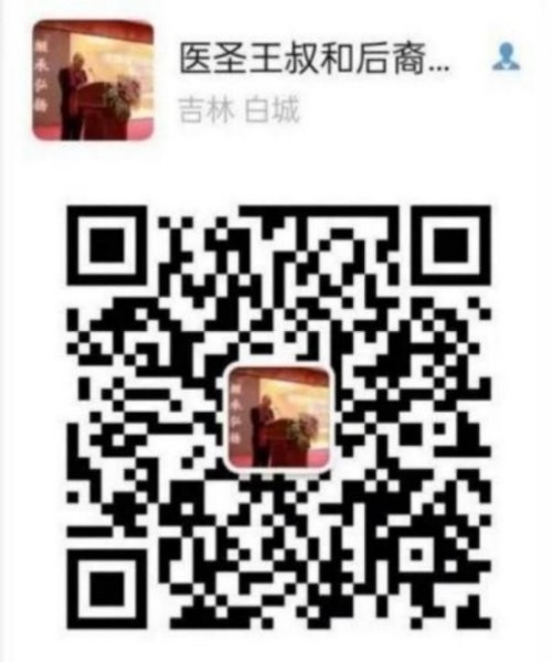 落实两会精神 岐黄赋能健康 中华医圣王叔和第八十七代传承王恩斌