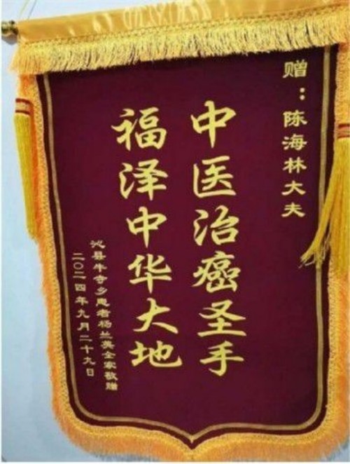 医者仁心，大爱无疆 —— 国际医生节致敬国医大家陈海林教授