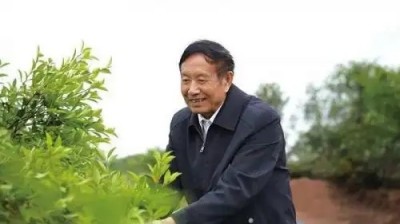 以劳模精神铸魂 以油茶产业筑梦 ——记聚尔康茶油曹松林