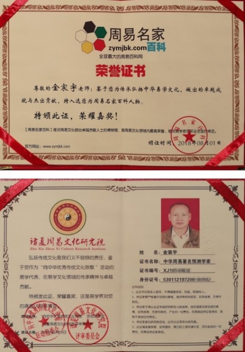 向劳模致敬 中国易学名家——金辰宇