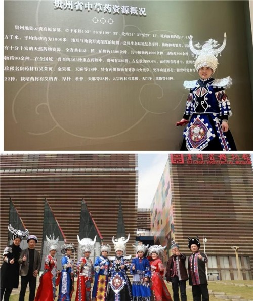 何先敏引领贵苗伊： 以苗医匠心守正创新，用调理智慧谱写民族医药新篇