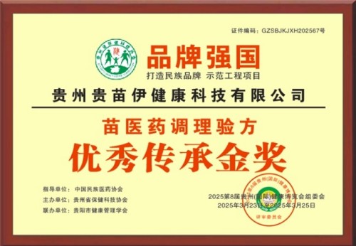 何先敏引领贵苗伊： 以苗医匠心守正创新，用调理智慧谱写民族医药新篇