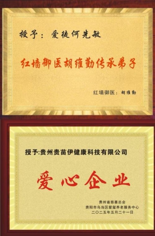 何先敏引领贵苗伊： 以苗医匠心守正创新，用调理智慧谱写民族医药新篇