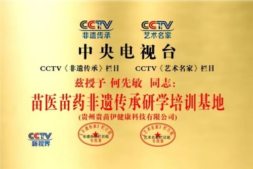 何先敏引领贵苗伊： 以苗医匠心守正创新，用调理智慧谱写民族医药新篇