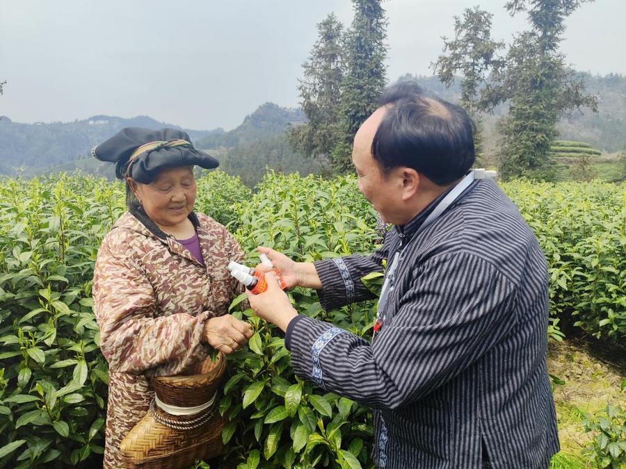 慢病防治健康行动符忠来走进黄金村健康服务