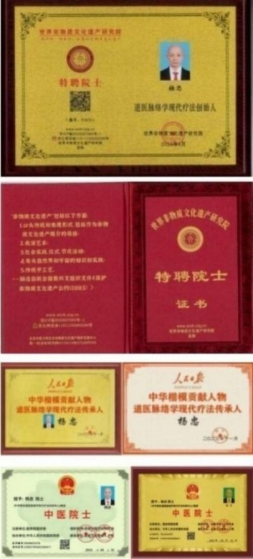 人民视窗官方网站特别报道 中华道医脉络学现代疗法创始人杨忠
