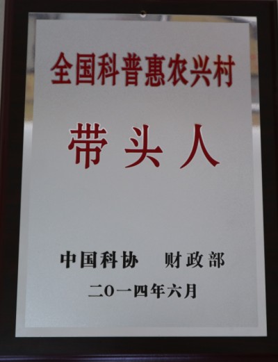 丁伦保：四十五载菇香映初心 一生赤诚暖乡村