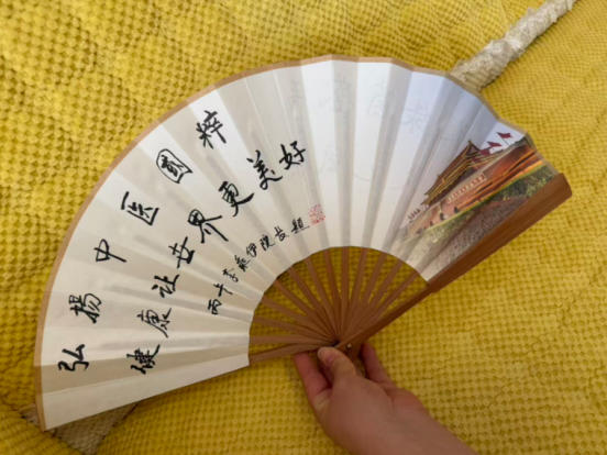 以绿茵为媒、以岐黄为桥 李乘伊携中医国粹亮相 2026 美加墨世界杯