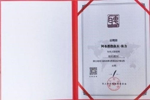 建党百五风华茂 匠心筑疆践初心——达围然阿布都热依木·依力