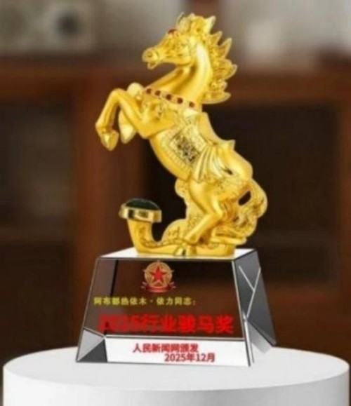 建党百五风华茂 匠心筑疆践初心——达围然阿布都热依木·依力