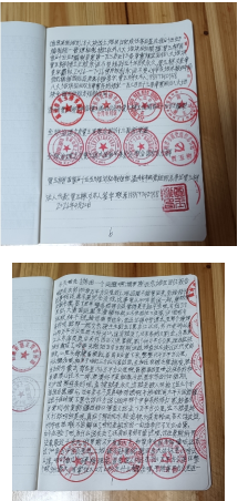 十家网站专题报道 《中文语言日》本期封面人物·贾玉柳