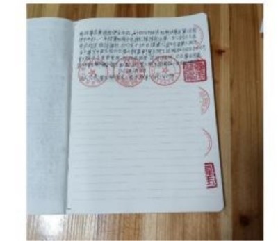 十家网站专题报道 《中文语言日》本期封面人物·贾玉柳