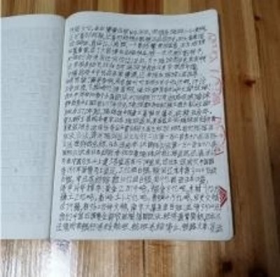 十家网站专题报道 《中文语言日》本期封面人物·贾玉柳