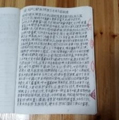 十家网站专题报道 《中文语言日》本期封面人物·贾玉柳