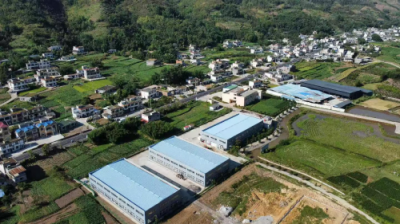 产业融合绘新景 种养结合促振兴